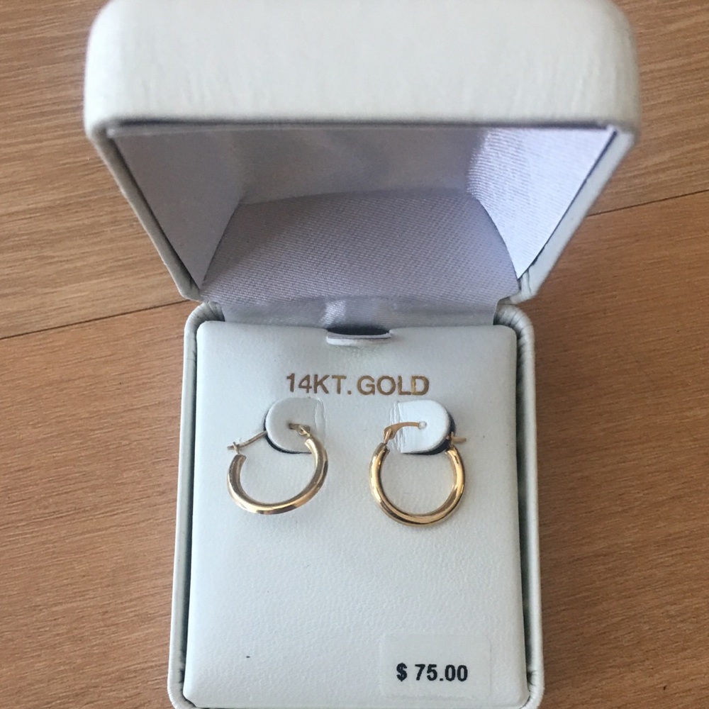 14k Gold Hoop Earrings